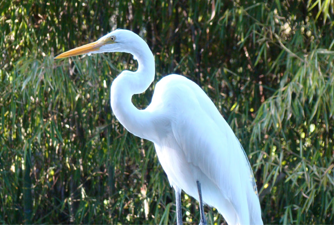 Ejido-emiliano-zapata-3