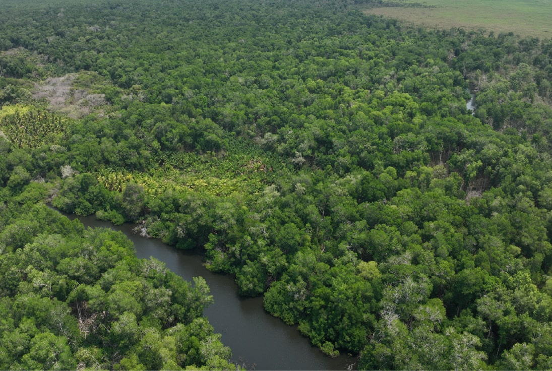Ejido-emiliano-zapata-4